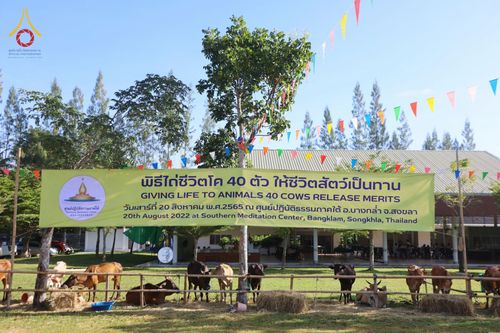 ภาพ No.50777:ประมวลภาพพิธีบุพเปตพลีนานาชาติ ปีที่ 9 ณ ศูนย์ปฏิบัติธรรมภาคใต้ อ.บางกล่ำ จ.สงขลา