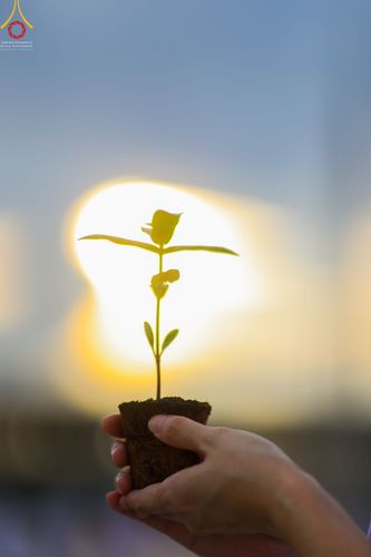 ภาพ No.52581:ประมวลภาพวันคล้ายวันเกิดครบรอบ 138 ปี พระมงคลเทพมุนี (สด จนฺทสโร) พระผู้ปราบมาร ชุดที่ 2