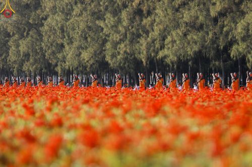 ภาพ No.42390:ประมวลภาพธรรมยาตรา ปีที่ 10  ประจำวันที่ 16 มกราคม พ.ศ. 2565