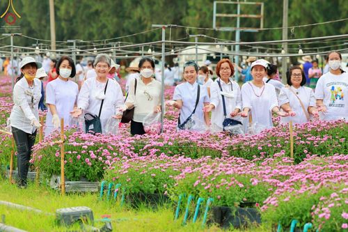 ภาพ No.66663:สาธุชนรับบุญตัดดอกทรัพย์บานชื่น ระหว่างวันที่ 9-10 ธันวาคม พ.ศ. 2565 ณ วัดพระธรรมกาย