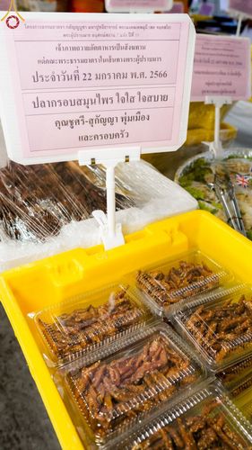 ภาพ No.73786:พิธีถวายภัตตาหารเป็นสังฆทาน แด่คณะพระธรรมยาตราฯ ในโครงการธรรมยาตรากตัญญูบูชา มหาปูชนียาจารย์ พระมงคลเทพมุนี(สด จนฺทสโร) พระผู้ปราบมาร อนุสรณ์สถาน 7 แห่ง ปีที่ 11 วันที่ 22 มกราคม พ.ศ. 2566