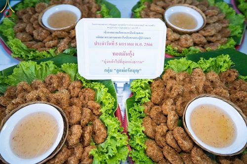 ภาพ No.69261:พิธีถวายภัตตาหารเป็นสังฆทาน แด่คณะพระธรรมยาตราฯ ในโครงการธรรมยาตราฯ ปีที่ 11 ณ อนุสรณ์สถานมหาวิหารพระมงคลเทพมุนี อ.สองพี่น้อง จ.สุพรรณบุรี วันที่ 4 และ 5 มกราคม พ.ศ. 2566