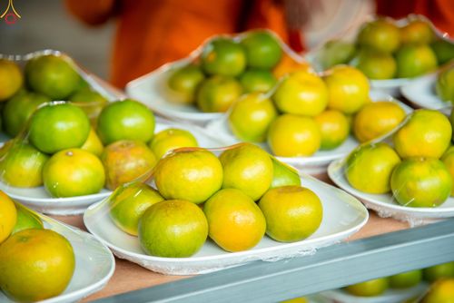 ภาพ No.325751:วันที่ 22 เมษายน พ.ศ.2569(วันคุ้มครองโลก) งานถวายมหาสังฆทาน 40,000 กว่าวัดทั่วประเทศ เจ้าหน้าที่ สาธุชน ร่วมใจจัดเตรียมภัตตาหารเพล (ชุด 2)