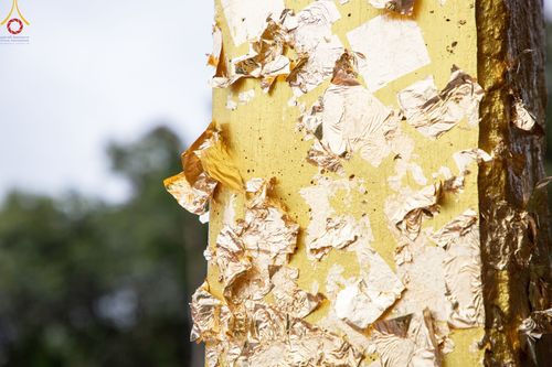 ภาพ No.50669:ประมวลภาพพิธีตักบาตร ณ วัดแม่แพ จ.แม่ฮ่องสอน เนื่องในวันธรรมชัย