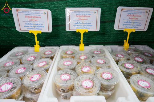 ภาพ No.301169:วันที่ 23 มกราคม พ.ศ. 2569 พิธีถวายภัตตาหารเป็นสังฆทาน แด่พระธรรมยาตรา ณ อนุสรณ์สถานบางปลา วัดบางปลา อำเภอบางเลน จังหวัดนครปฐม ในโครงการธรรมยาตรา กตัญญูบูชา มหาปูชนียาจารย์ พระมงคลเทพมุนี(สด จนฺทสโร) พระผู้ปราบมาร อนุสรณ์สถาน 7 แห่ง ปีที่ 14