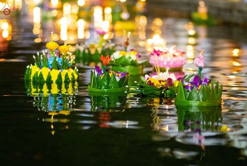 ภาพ No.55388:ประมวลภาพพิธีลอยกระทงธรรม ณ วัดพระธรรมกาย (วันที่ 8 พฤศจิกายน พ.ศ. 2565)