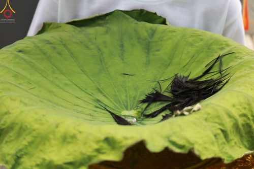 ภาพ No.44503:ประมวลภาพพิธีปลงผม โครงการบรรพชาสามเณรหน่อแก้วเปรียญธรรมรุ่นที่ 10