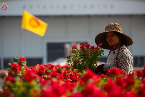 ภาพ No.121055:V.20 เป็นปลื้ม การเตรียมงาน เก็บงาน การรับบุญของเจ้าหน้าที่หน่วยงานต่างๆ เพื่อโครงการธรรมยาตรา กตัญญูบูชา มหาปูชนียาจารย์ พระมงคลเทพมุนี (สด จนฺทสโร) พระผู้ปราบมาร อนุสรณ์สถาน 7 แห่ง ปีที่ 12 ระหว่างวันที่ 2 - 31 มกราคม พ.ศ.2567