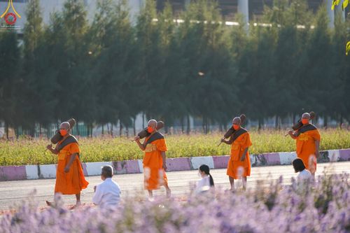 ภาพ No.42401:ประมวลภาพธรรมยาตรา ปีที่ 10  ประจำวันที่ 16 มกราคม พ.ศ. 2565