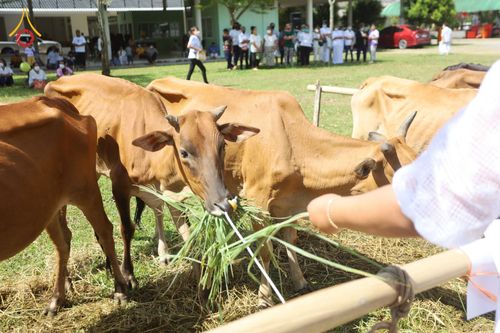ภาพ No.50785:ประมวลภาพพิธีบุพเปตพลีนานาชาติ ปีที่ 9 ณ ศูนย์ปฏิบัติธรรมภาคใต้ อ.บางกล่ำ จ.สงขลา