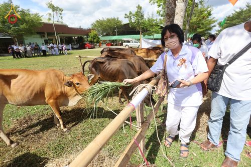 ภาพ No.50787:ประมวลภาพพิธีบุพเปตพลีนานาชาติ ปีที่ 9 ณ ศูนย์ปฏิบัติธรรมภาคใต้ อ.บางกล่ำ จ.สงขลา