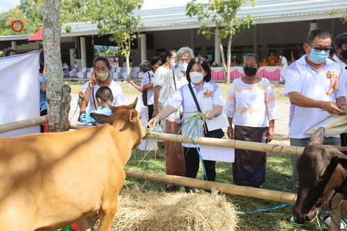 ภาพ No.50790:ประมวลภาพพิธีบุพเปตพลีนานาชาติ ปีที่ 9 ณ ศูนย์ปฏิบัติธรรมภาคใต้ อ.บางกล่ำ จ.สงขลา