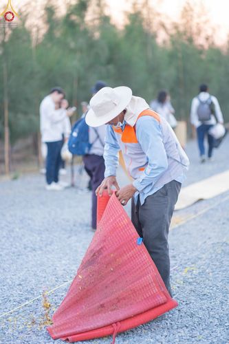 ภาพ No.117856:V.17 สำเร็จๆ การเตรียมงาน เก็บงาน การรับบุญของเจ้าหน้าที่หน่วยงานต่างๆ เพื่อโครงการธรรมยาตรา กตัญญูบูชามหาปูชนียาจารย์ พระมงคลเทพมุนี (สด จนฺทสโร) พระผู้ปราบมาร อนุสรณ์สถาน 7 แห่ง ปีที่ 12 ระหว่างวันที่ 2 - 31 มกราคม พ.ศ.2567