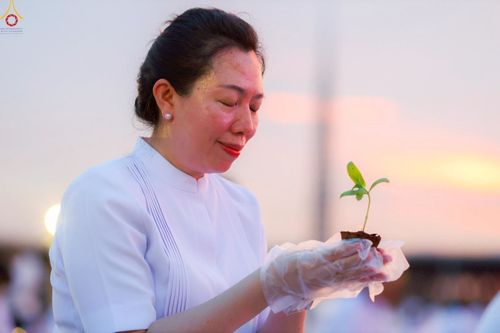 ภาพ No.253004:วันที่ 10 ตุลาคม พ.ศ. 2568 พิธีปลูกต้นทรัพย์บานชื่น ณ ลานธรรม วัดพระธรรมกาย