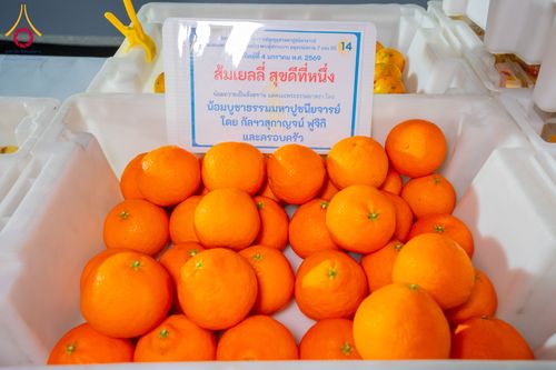 ภาพ No.288120:วันที่ 4 มกราคม พ.ศ. 2569 พิธีถวายภัตตาหารเป็นสังฆทาน แด่พระธรรมยาตรา ในโครงการธรรมยาตรา กตัญญูบูชา มหาปูชนียาจารย์ พระมงคลเทพมุนี(สด จนฺทสโร) พระผู้ปราบมาร อนุสรณ์สถาน 7 แห่ง ปีที่ 14 ณ อนุสรณ์สถานมหาวิหารพระมงคลเทพมุนี (โลตัสแลนด์) อ.สองพี่น้อง จ.สุพรร