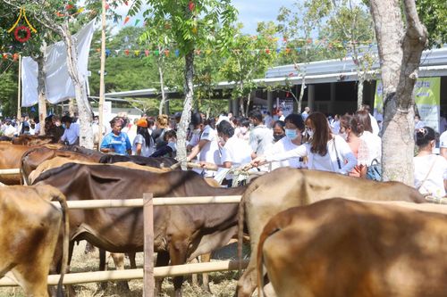 ภาพ No.50788:ประมวลภาพพิธีบุพเปตพลีนานาชาติ ปีที่ 9 ณ ศูนย์ปฏิบัติธรรมภาคใต้ อ.บางกล่ำ จ.สงขลา