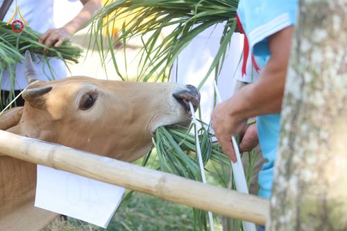 ภาพ No.50791:ประมวลภาพพิธีบุพเปตพลีนานาชาติ ปีที่ 9 ณ ศูนย์ปฏิบัติธรรมภาคใต้ อ.บางกล่ำ จ.สงขลา