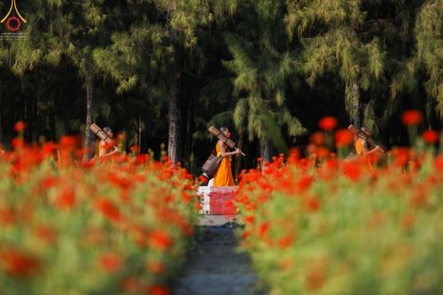 ภาพ No.41737:ประมวลภาพธรรมยาตรา ปีที่ 10  ประจำวันที่ 8 มกราคม พ.ศ. 2565