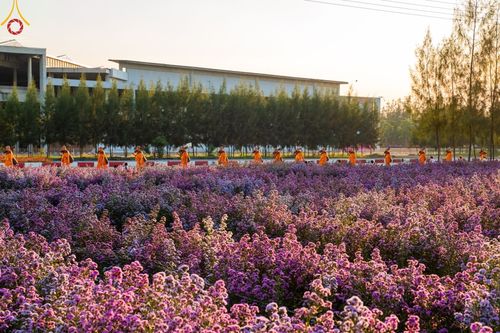 ภาพ No.42412:ประมวลภาพธรรมยาตรา ปีที่ 10  ประจำวันที่ 16 มกราคม พ.ศ. 2565