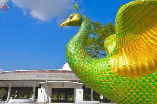 ภาพ No.42720:พิธีอัญเชิญมยุรนาวากาศ ประดิษฐาน ณ อาคาร 100 ปี เนื่องในวันคล้ายวันเกิด ครบ 113 ปี คุณยายอาจารย์มหารัตนอุบาสิกาจันทร์ ขนนกยูง