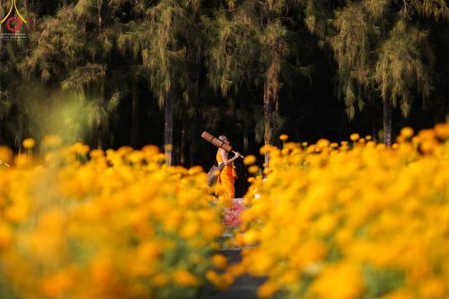 ภาพ No.41739:ประมวลภาพธรรมยาตรา ปีที่ 10  ประจำวันที่ 8 มกราคม พ.ศ. 2565