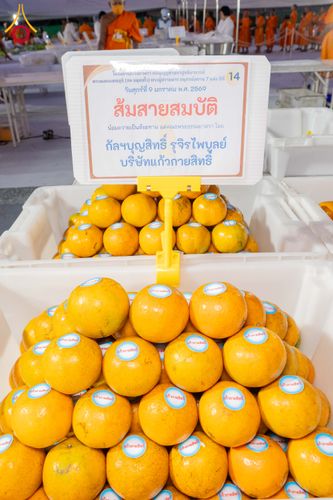 ภาพ No.290875:วันที่ 9 มกราคม พ.ศ. 2569 พิธีถวายภัตตาหารเป็นสังฆทาน แด่พระธรรมยาตรา ณ อนุสรณ์สถานคลองบางนางแท่น อ.สามพราน จ.นครปฐม ในโครงการธรรมยาตรา กตัญญูบูชา มหาปูชนียาจารย์ พระมงคลเทพมุนี(สด จนฺทสโร) พระผู้ปราบมาร อนุสรณ์สถาน 7 แห่ง ปีที่ 14