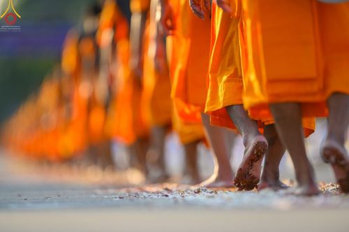 ภาพ No.42197:ประมวลภาพธรรมยาตรา ปีที่ 10  ประจำวันที่ 12 มกราคม พ.ศ. 2565