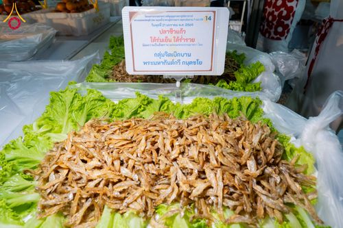 ภาพ No.299230:วันที่ 21 มกราคม พ.ศ. 2569 พิธีถวายภัตตาหารเป็นสังฆทาน แด่พระธรรมยาตรา ณ อนุสรณ์สถานบางปลา วัดบางปลา อำเภอบางเลน จังหวัดนครปฐม ในโครงการธรรมยาตรา กตัญญูบูชา มหาปูชนียาจารย์ พระมงคลเทพมุนี(สด จนฺทสโร) พระผู้ปราบมาร อนุสรณ์สถาน 7 แห่ง ปีที่ 14