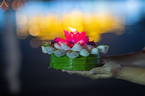 ภาพ No.55406:ประมวลภาพพิธีลอยกระทงธรรม ณ วัดพระธรรมกาย (วันที่ 8 พฤศจิกายน พ.ศ. 2565)