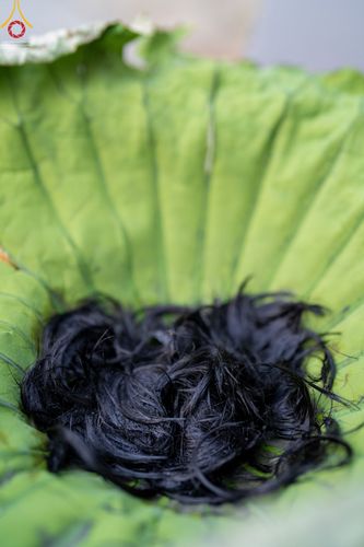 ภาพ No.44522:ประมวลภาพพิธีปลงผม โครงการบรรพชาสามเณรหน่อแก้วเปรียญธรรมรุ่นที่ 10