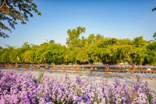 ภาพ No.41747:ประมวลภาพธรรมยาตรา ปีที่ 10  ประจำวันที่ 8 มกราคม พ.ศ. 2565