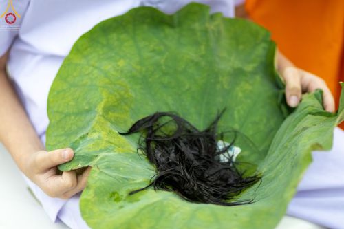 ภาพ No.44035:ประมวลภาพพิธีปลงผม โครงการบรรพชาสามเณรฟื้นฟูพระพุทธศาสนาทั่วไทย ณ ศูนย์อบรมวัดพระธรรมกาย