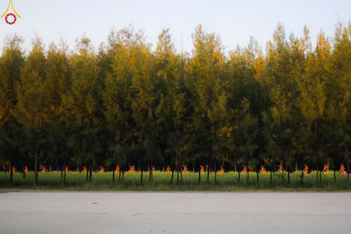 ภาพ No.42425:ประมวลภาพธรรมยาตรา ปีที่ 10  ประจำวันที่ 16 มกราคม พ.ศ. 2565