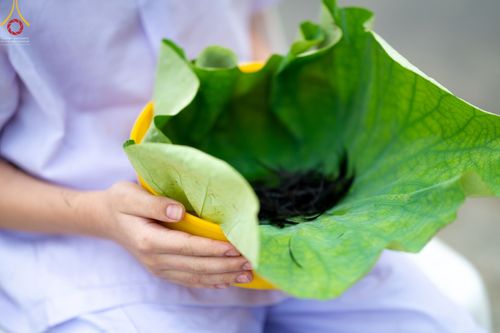 ภาพ No.44041:ประมวลภาพพิธีปลงผม โครงการบรรพชาสามเณรฟื้นฟูพระพุทธศาสนาทั่วไทย ณ ศูนย์อบรมวัดพระธรรมกาย