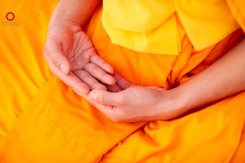 ภาพ No.299764:วันที่ 19 มกราคม พ.ศ.2569 พระธรรมยาตราปฏิบัติธรรมและถ่ายภาพหมู่ประวัติศาสตร์ ณ อนุสรณ์สถานลำดับที่ 5 สถานที่เผยแผ่วิชชาธรรมกายครั้งแรก  อนุสรณ์สถานบางปลาวัดบางปลา อ.บางเลน จ.นครปฐม ในโครงการธรรมยาตรา กตัญญูบูชา มหาปูชนียาจารย์ พระมงคลเทพมุนี(สด จนฺทสโร) 