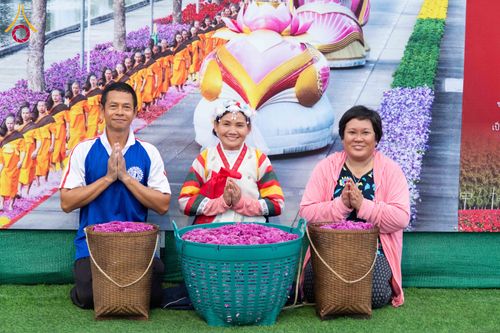 ภาพ No.279419:วันที่ 19-26 ธันวาคม พ.ศ. 2568 และ วันที่ 1 มกราคม พ.ศ.2569 รับบุญปลิดกลีบดอกไม้ เพื่อโปรยต้อนรับพระธรรมยาตรา