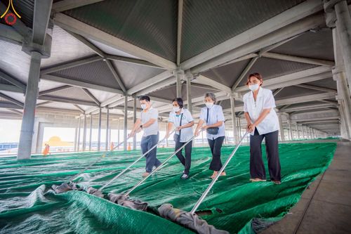 ภาพ No.219029:วันที่ 19-21 เมษายน พ.ศ. 2568 การเตรียมงานในลานธรรม , วิหารคด เพื่องานวันคุ้มครองโลก 22 เมษายน พ.ศ. 2568