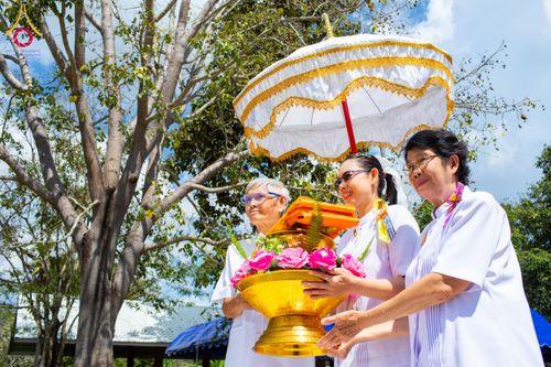 ภาพ No.173314:พิธีทอดกฐิน วัดศรีดงเย็น จ.ลำพูน ในโครงการกฐินสามัคคีทั่วไทย 30,000 วัด บูชาธรรม 80 ปี หลวงพ่อธัมมชโย โดยคณะศิษยานุศิษย์วัดพระธรรมกาย วันที่ 31 ตุลาคม พ.ศ. 2567