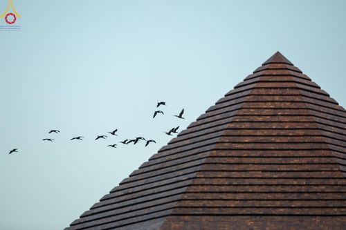 ภาพ No.189154:พระธรรมยาตราปฏิบัติธรรม และถ่ายภาพหมู่ประวัติศาสตร์ ในโครงการธรรมยาตรา กตัญญูบูชา มหาปูชนียาจารย์ พระมงคลเทพมุนี(สด จนฺทสโร) พระผู้ปราบมาร อนุสรณ์สถาน 7 แห่ง ปีที่ 13 วันที่ 4 มกราคม พ.ศ. 2568 ณ อนุสรณ์สถานมหาวิหารพระมงคลเทพมุนี (โลตัสแลนด์) อ.สองพี่น้อง