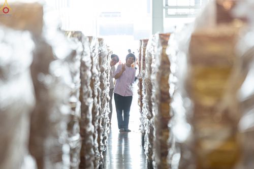 ภาพ No.322083:วันที่ 14 เมษายน พ.ศ.2569 การเตรียมกล่องไทยธรรม วันสุดท้าย เพื่องานถวายมหาสังฆทาน 40,000 กว่าวัดทั่วประเทศ วันคุ้มครองโลก 22 เมษายน พ.ศ.2569 วัดพระธรรมกาย