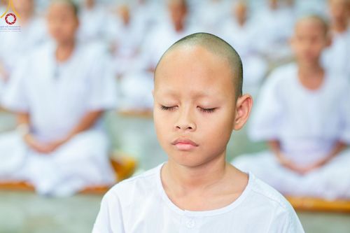 ภาพ No.133631:นาคธรรมทายาทปฏิบัติธรรมก่อนบวช ในโครงการบรรพชาสามเณร ฟื้นฟูพระพุทธศาสนาทั่วไทย ศูนย์อบรมวัดพระธรรมกาย วันที่ 3 เมษายน พ.ศ. 2567