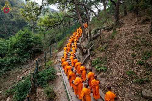 ภาพ No.132492:สามเณรเนปาล บิณฑบาต ย่านทาเมล เมืองกาฐมาณฑุ และเมืองปาฏัน ในโครงการบรรพชา 1,250 รูป ประเทศเนปาล วันที่ 20 มีนาคม พ.ศ. 2567