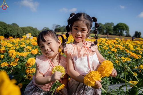 ภาพ No.188272:บรรยากาศ ทุ่งสวรรค์หรรษาพนาวัฒน์ ณ สวนพนาวัฒน์ อ.ฮอด จ.เชียงใหม่ เปิดให้เข้าชมฟรี ระหว่างวันที่ 28 ธันวาคม พ.ศ. 2567 ถึง วันที่ 3 มกราคม พ.ศ. 2568 เวลา 08.00-17.00 น.