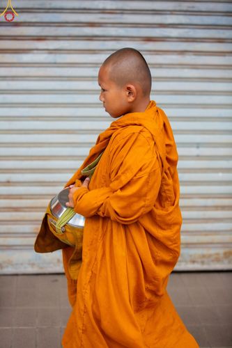 ภาพ No.85853:ตักบาตรพระนานาชาติ 10,000 รูป ใจกลางนครหาดใหญ่ จ.สงขลา วันอาทิตย์ที่ 20 สิงหาคม พ.ศ. 2566