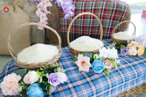 ภาพ No.198453:งานบุญล้านนา พิธีถวายสังฆทาน ตานข้าวใหม่,  พิธีทอดผ้าป่าบำรุงธุดงคสถานล้านนา,  พิธีถวายเครื่องเสียง เพื่อใช้ในงานพระพุทธศาสนา,  พิธีถวายรัตนบุปผา บูชาพระรัตนตรัย,  พิธีถวายภัตตาหารเป็นสังฆทาน วันอาทิตย์ที่ 19 มกราคม พุทธศักราช 2568  ณ ธุดงคสถานล้านนา