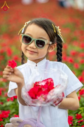 ภาพ No.185504:กิจกรรมเก็บดอกแพงรวย วันอาทิตย์ที่ 22 ธันวาคม พ.ศ. 2567 ณ ทุ่งสวรรค์ ตะวันฉาย วัดพระธรรมกาย