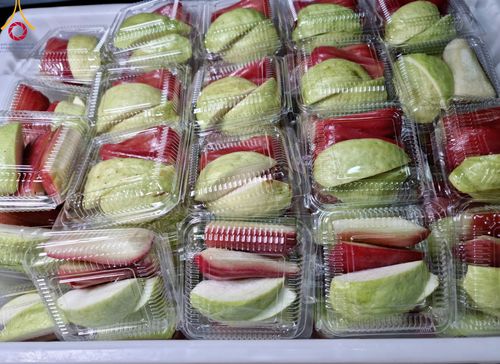 ภาพ No.113667:พิธีถวายภัตตาหารเป็นสังฆทาน แด่คณะพระธรรมยาตรา ปีที่ 12 วันที่ 17 มกราคม พ.ศ. 2567 ณ วัดโบสถ์(บน) บางคูเวียง จ.นนทบุรี