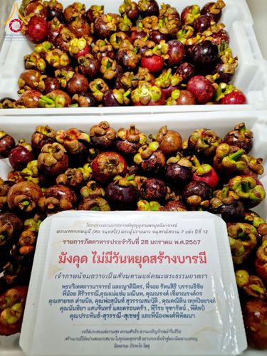 ภาพ No.119962:พิธีถวายภัตตาหารเป็นสังฆทาน แด่คณะพระธรรมยาตรา ปีที่ 12 วันที่ 28 มกราคม พ.ศ. 2567 ณ อนุสรณ์สถานบางปลา จ.นครปฐม