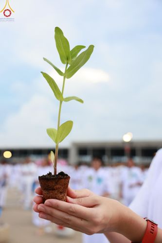 ภาพ No.160460:พิธีปลูกต้นทรัพย์บานชื่น ณ ลานธรรม พระมหาธรรมกายเจดีย์ วัดพระธรรมกาย จ.ปทุมธานี วันพฤหัสบดีที่ 10 ตุลาคม พ.ศ. 2567