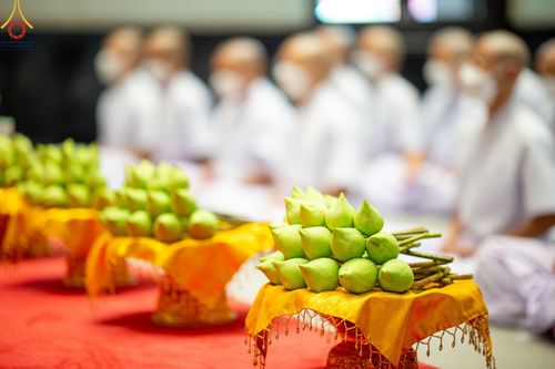 ภาพ No.141371:พิธีบรรพชาอุปสมบท โครงการอุปสมบทหมู่รุ่นผู้บริหาร รุ่นที่ 14 โครงการอุปสมบทหมู่ธรรมทายาท ระดับอุดมศึกษา รุ่นที่ 51 ภาคฤดูฝน ณ โบสถ์พระไตรปิฎก วัดพระธรรมกาย ในวันเสาร์ที่ 15 มิถุนายน พ.ศ. 2567